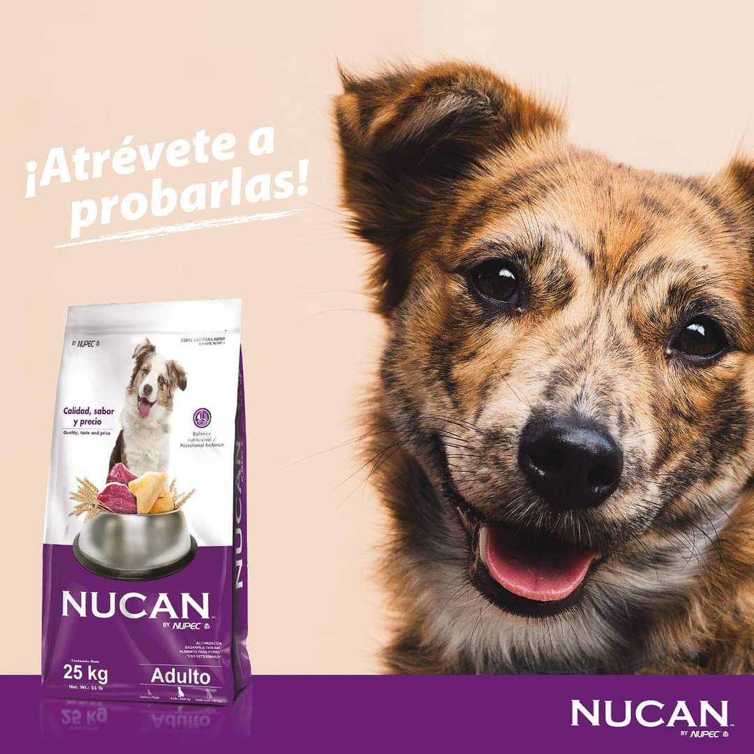 NUCAN PERRO ADULTO 25KG