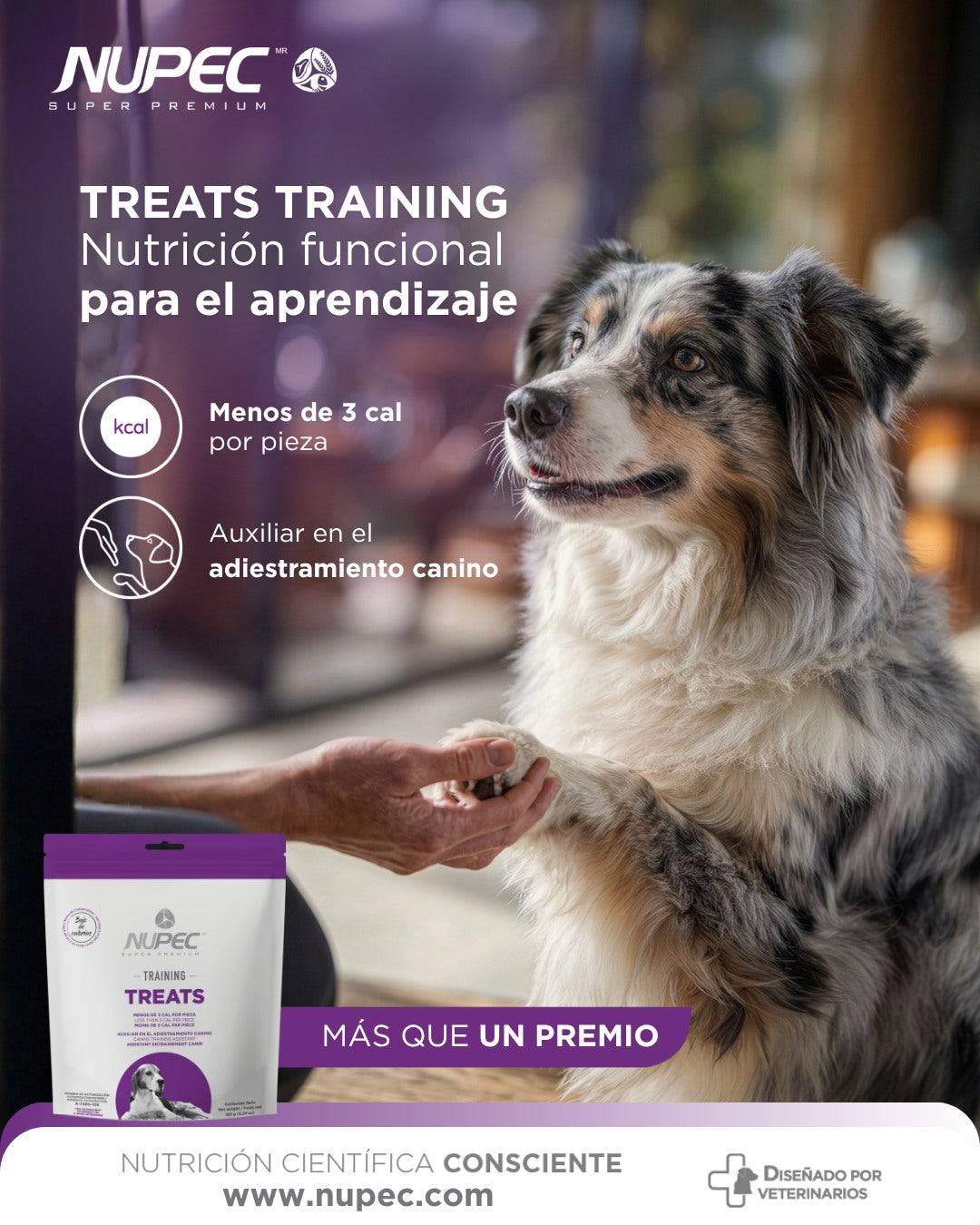 NUPEC TRAINING (copia)