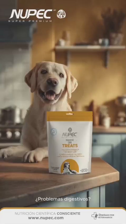 NUPEC DIGESTIVE CARE TREATS