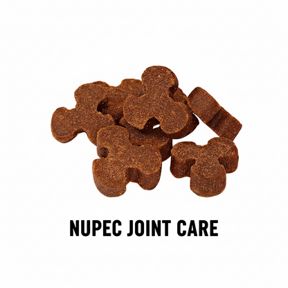 NUPEC JOINT CARE