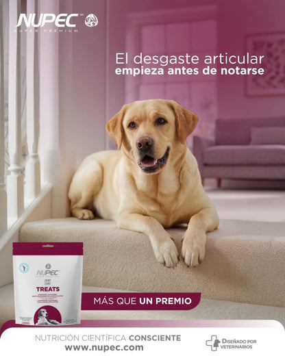 NUPEC JOINT CARE