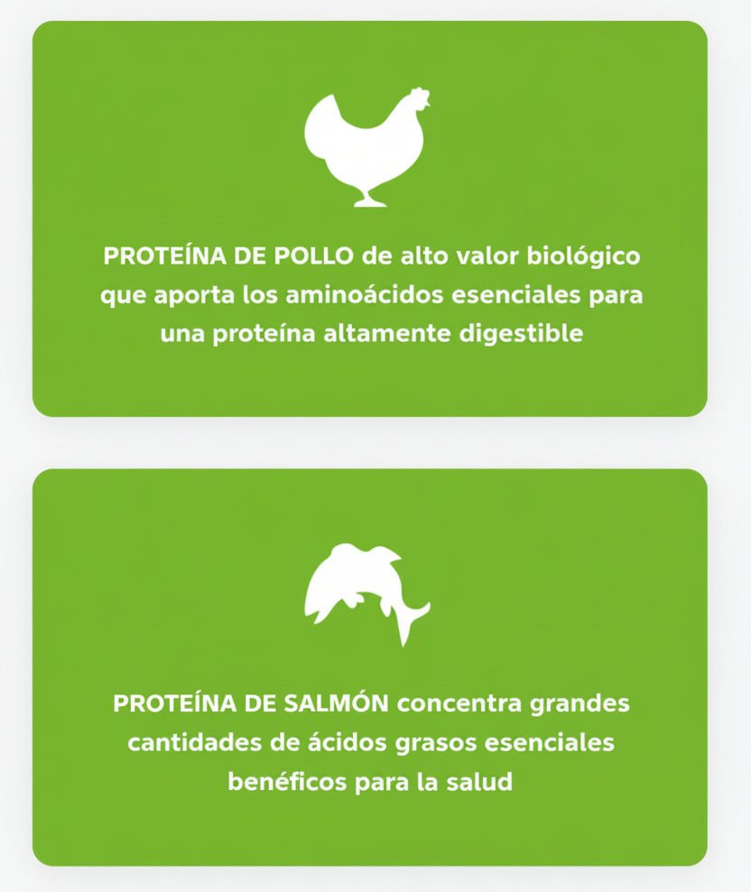 NUPEC FELINO INDOOR
