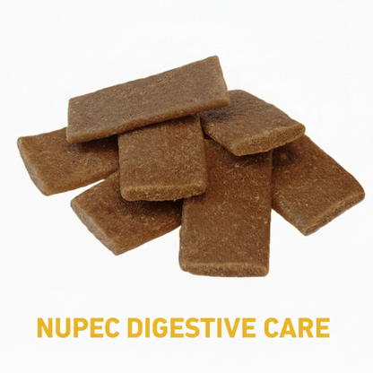NUPEC DIGESTIVE CARE