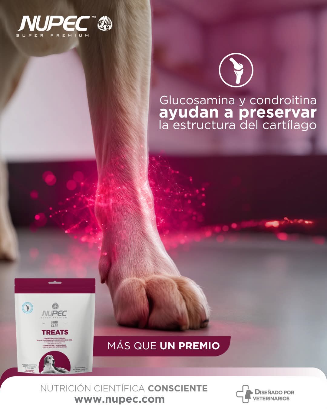 NUPEC JOINT CARE
