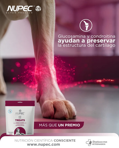 NUPEC JOINT CARE
