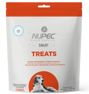 NUPEC SMART (copia)