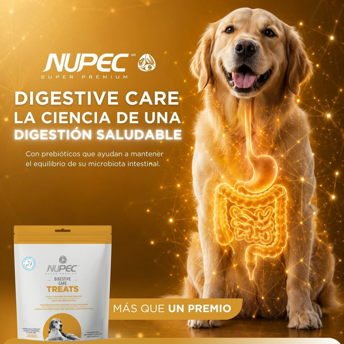NUPEC DIGESTIVE CARE