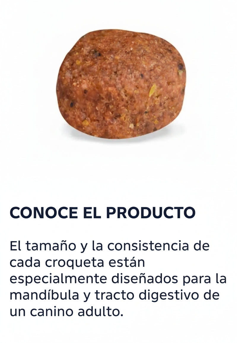 NUPEC ADULTO RAZA MEDIANA GRANDE